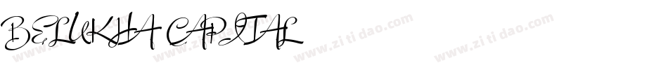 Belukha Capital字体转换